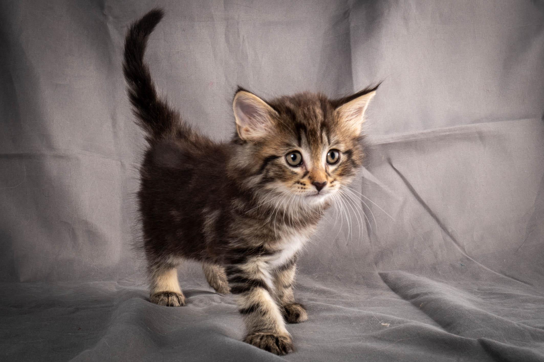 (N)Migoto's August, NFO a (09) 22