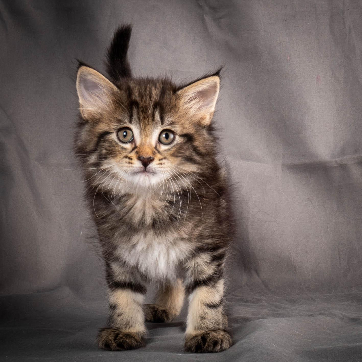 (N)Migoto's August, NFO a (09) 22