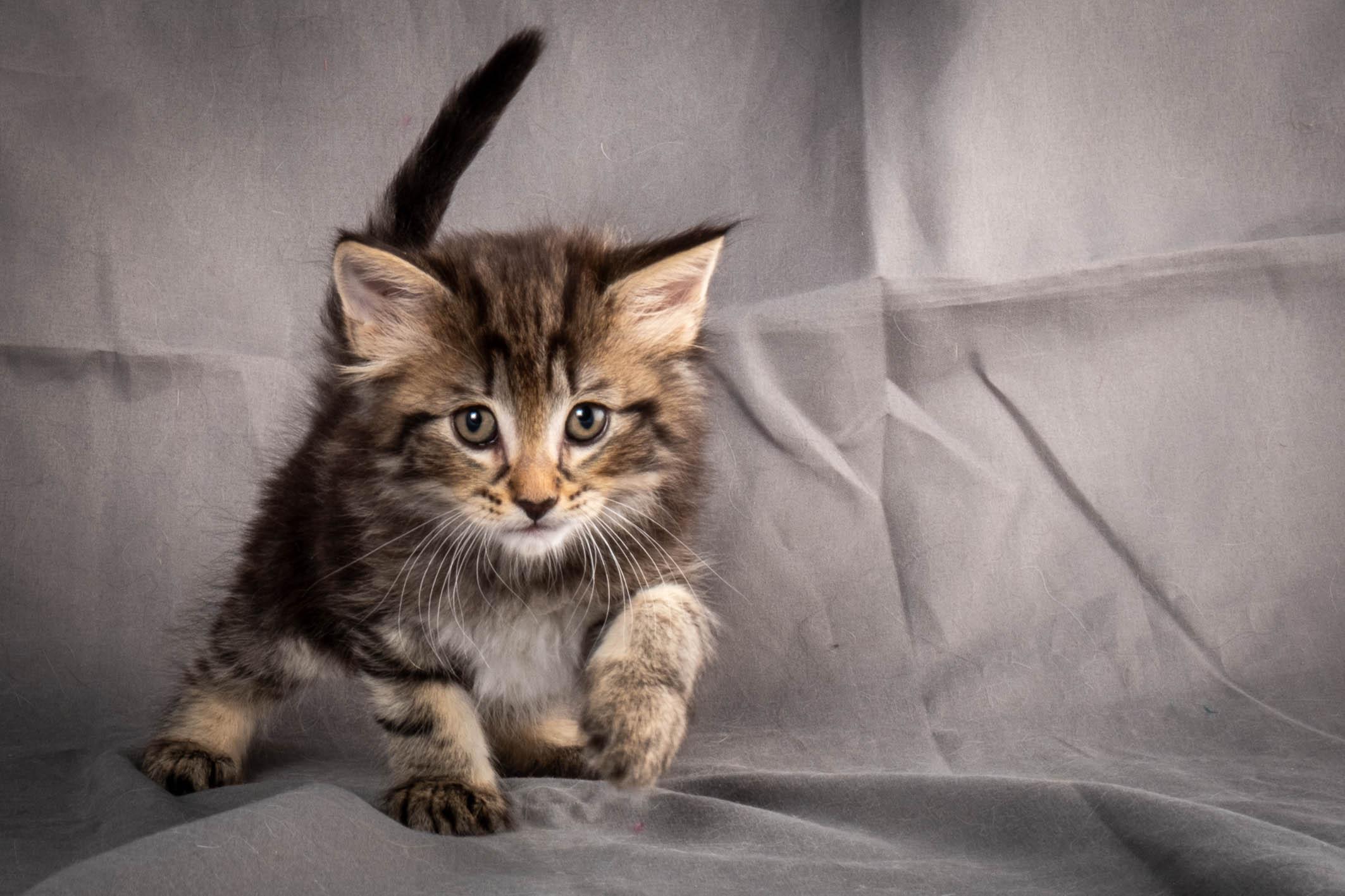 (N)Migoto's August, NFO a (09) 22