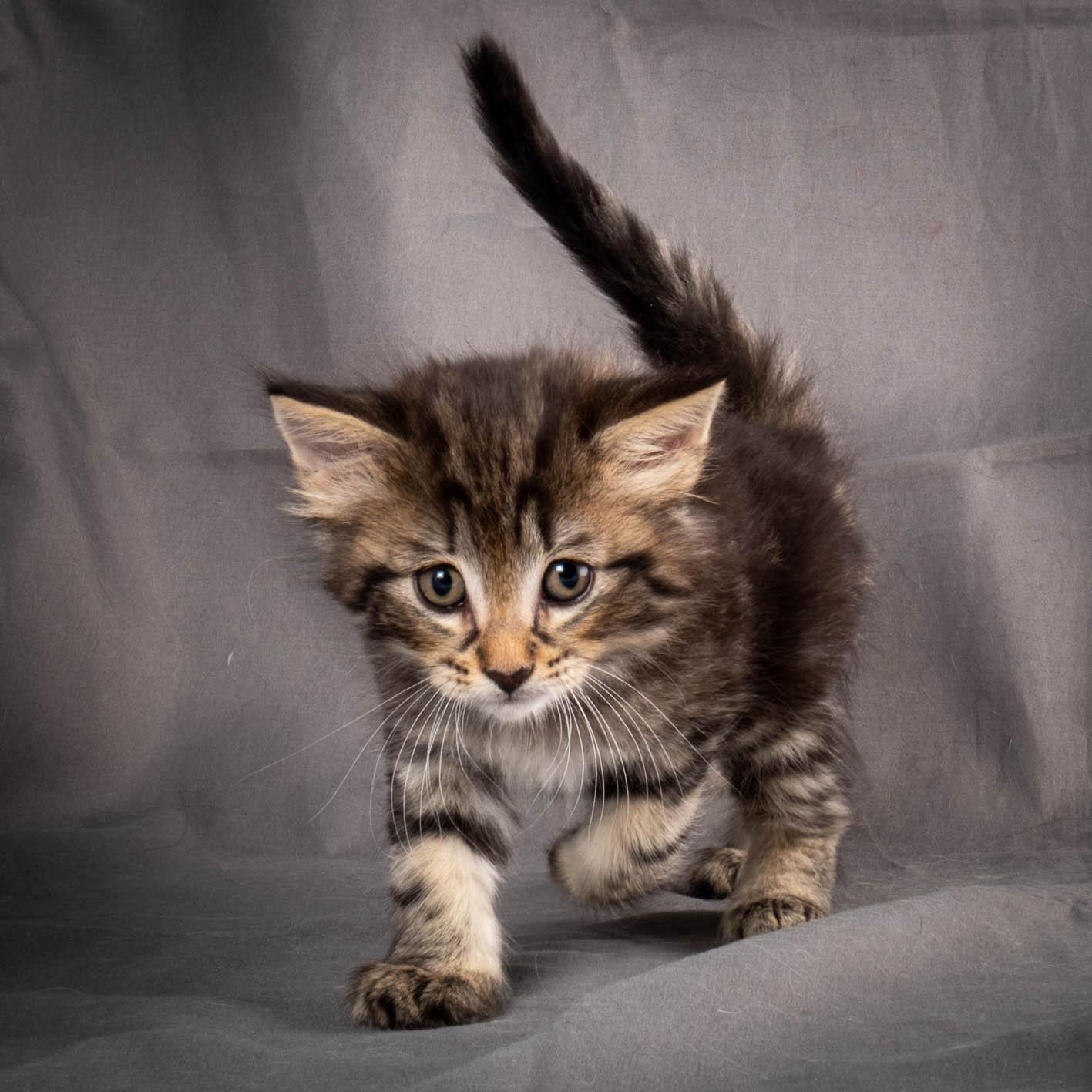 (N)Migoto's August, NFO a (09) 22