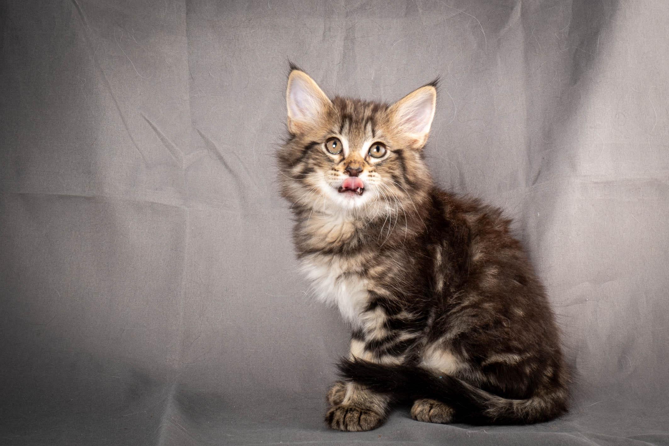 (N)Migoto's August, NFO a (09) 22