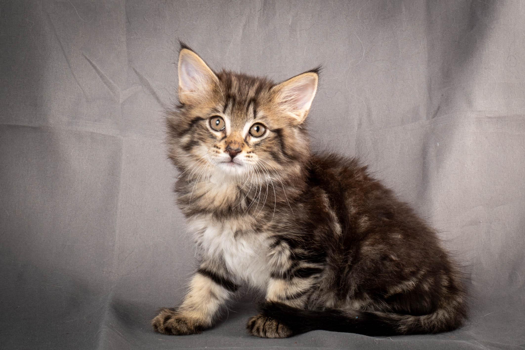 (N)Migoto's August, NFO a (09) 22