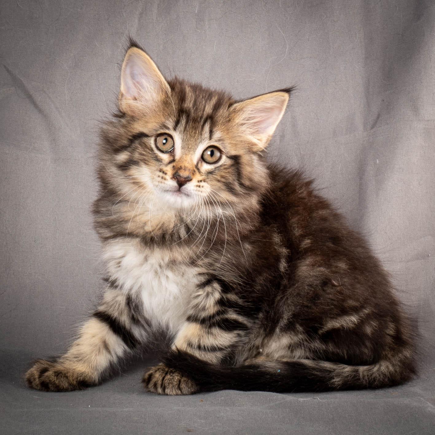 (N)Migoto's August, NFO a (09) 22