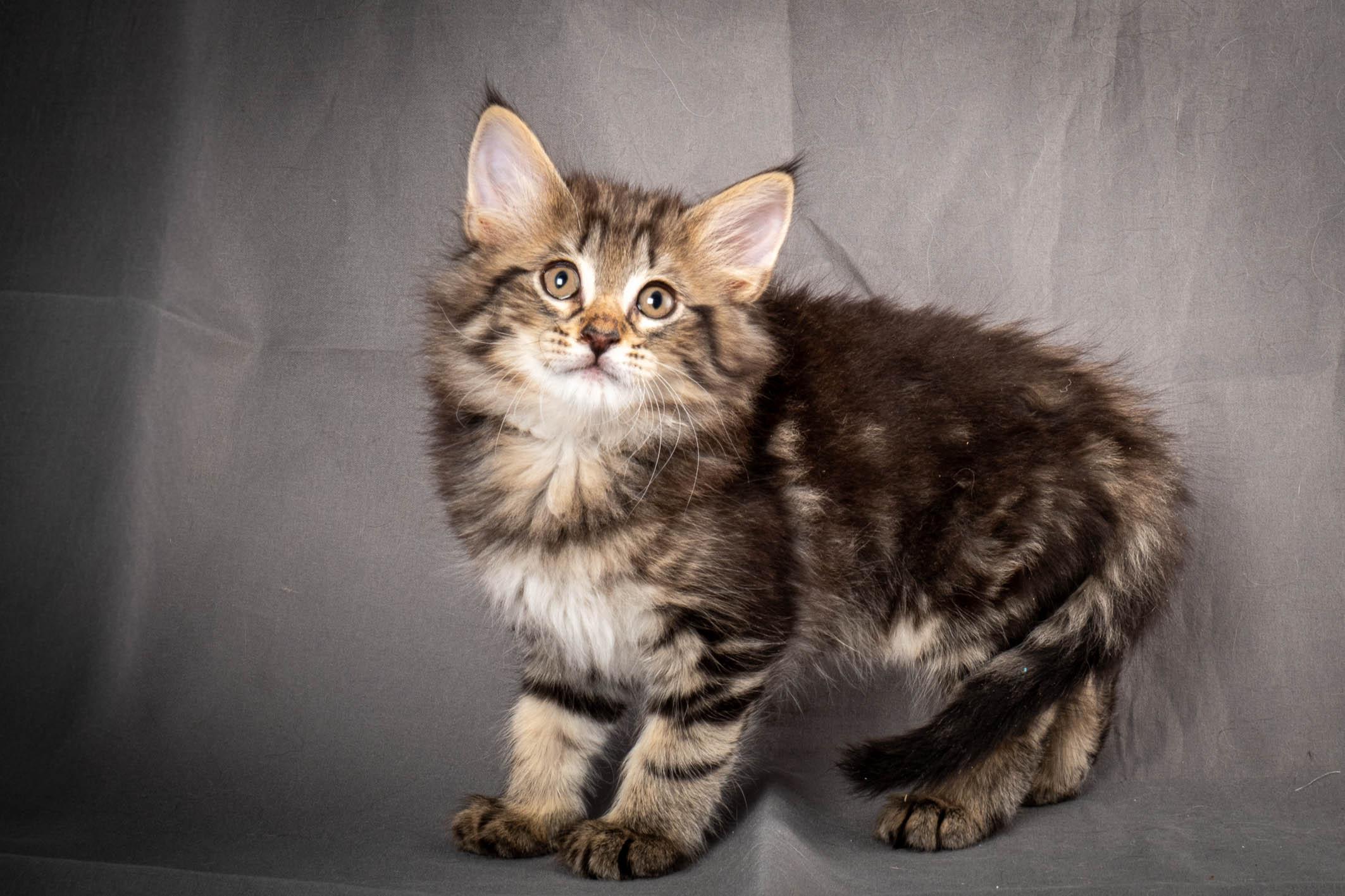 (N)Migoto's August, NFO a (09) 22