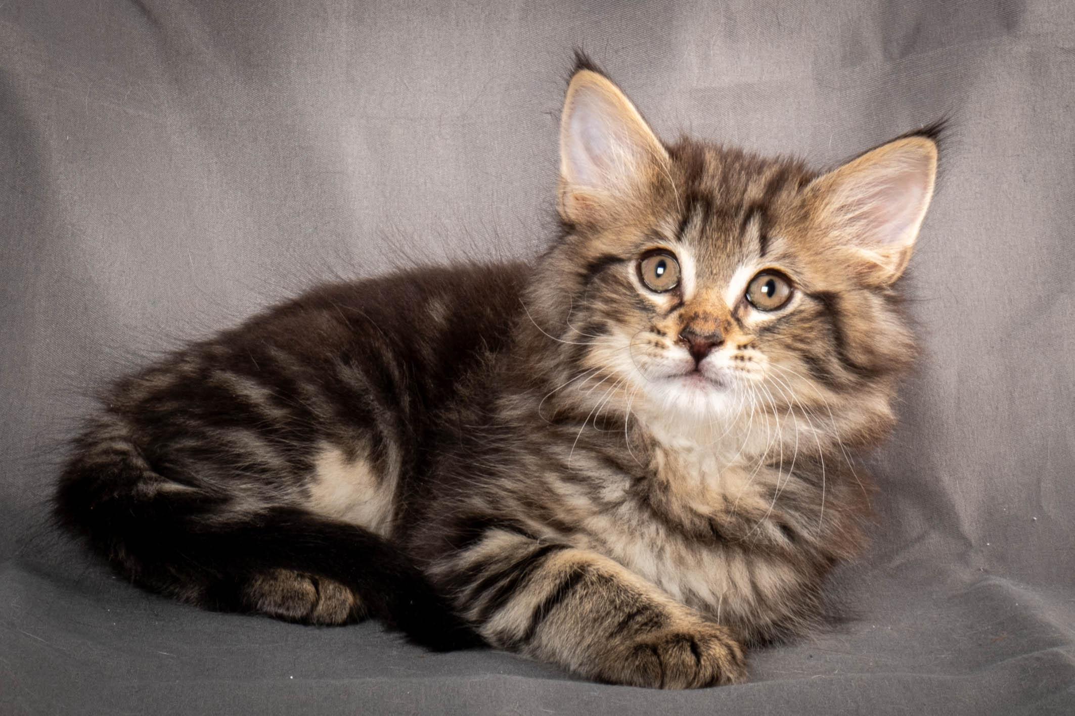 (N)Migoto's August, NFO a (09) 22