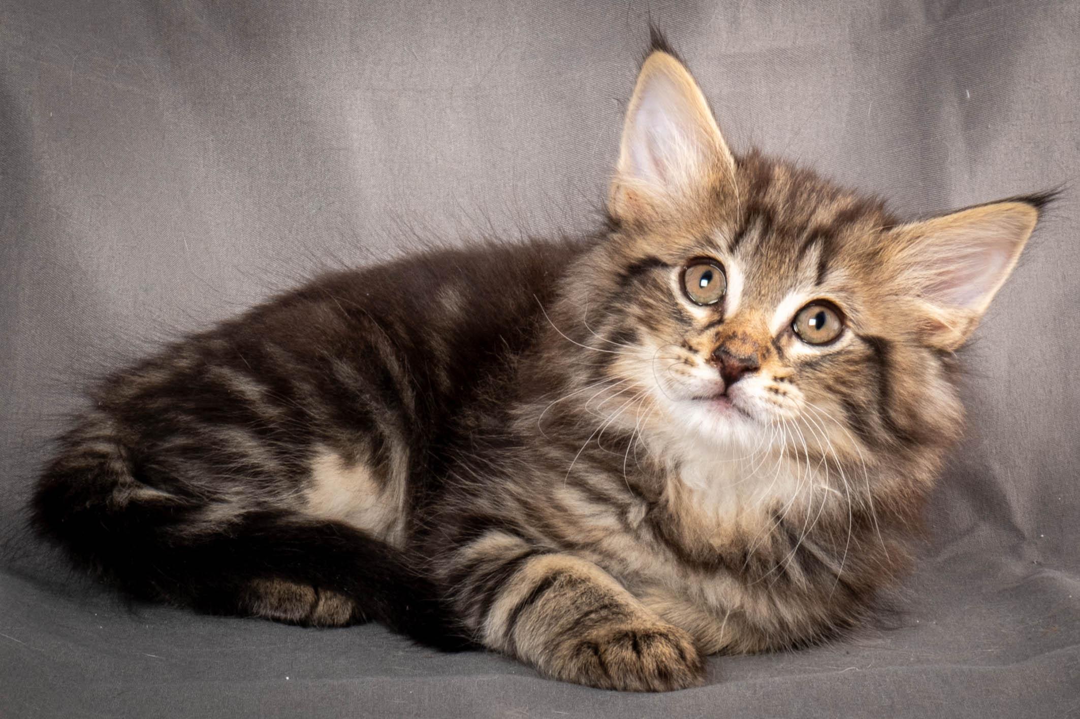 (N)Migoto's August, NFO a (09) 22