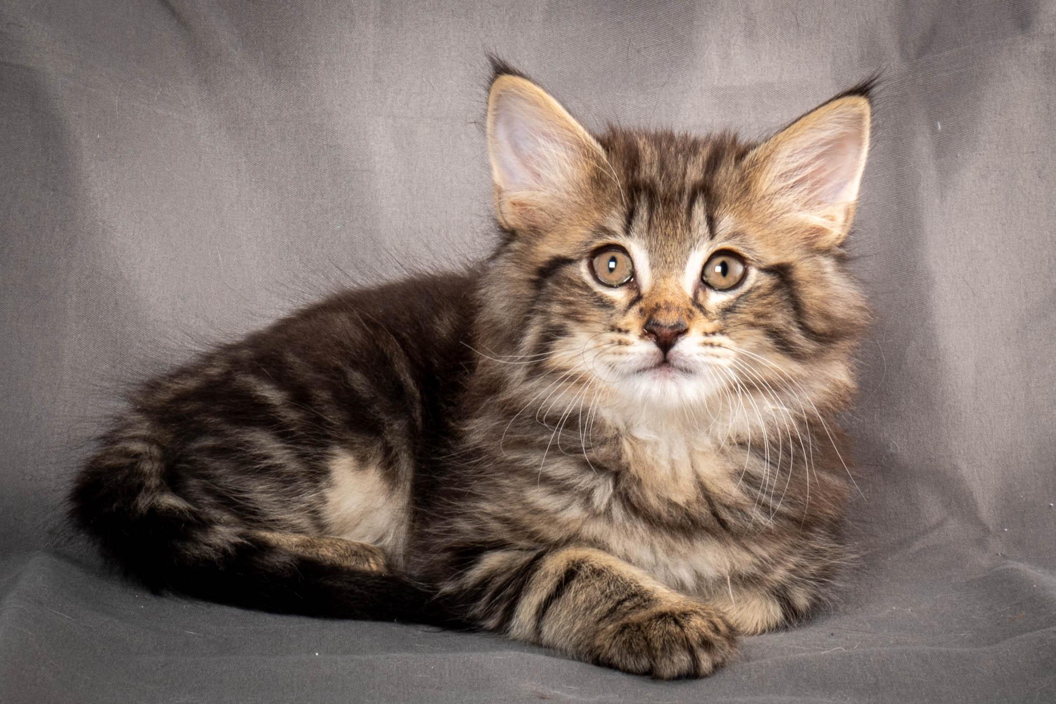 (N)Migoto's August, NFO a (09) 22