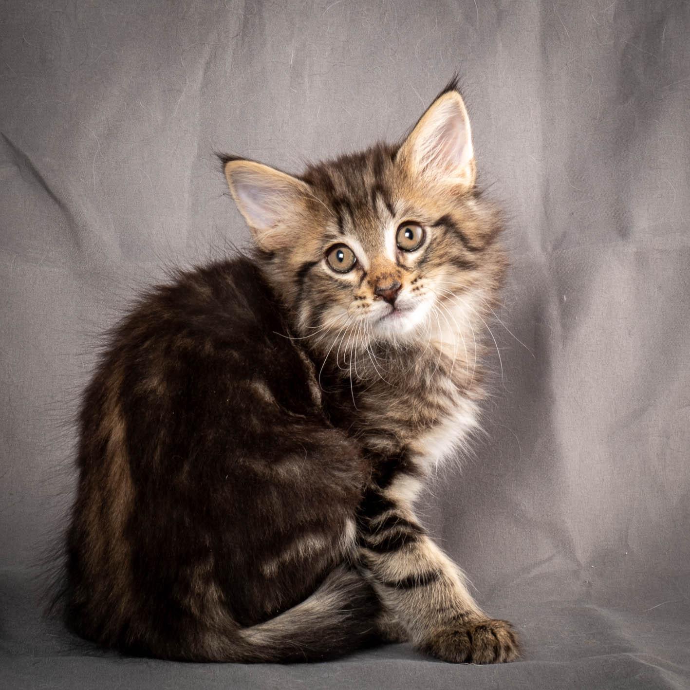 (N)Migoto's August, NFO a (09) 22