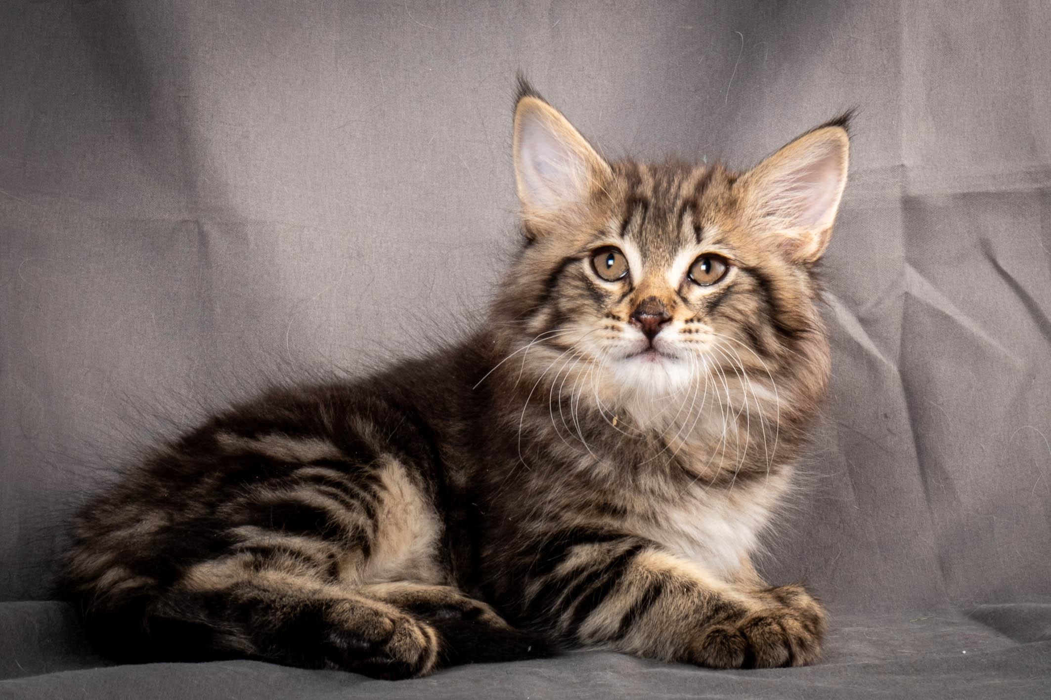 (N)Migoto's August, NFO n 22