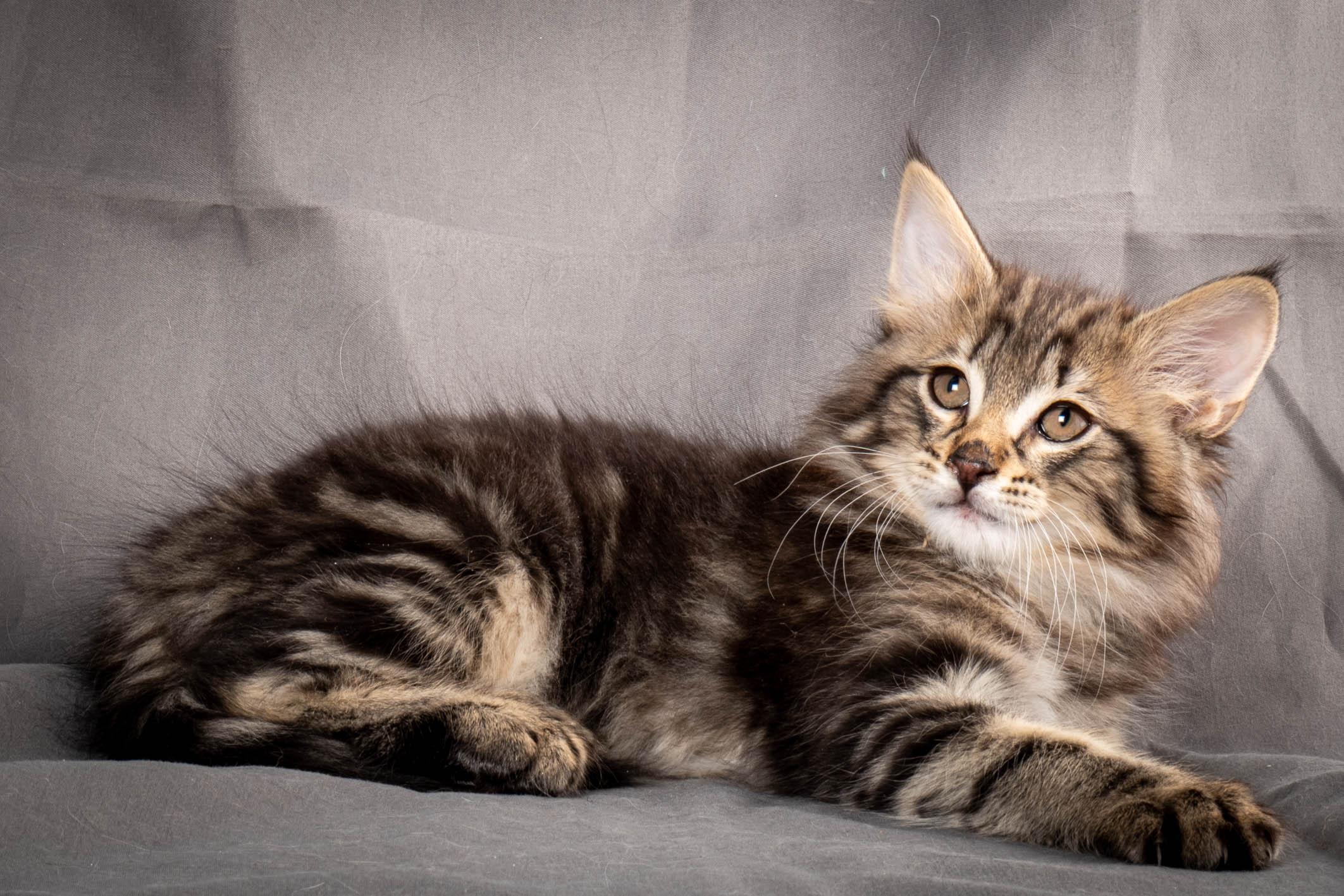 (N)Migoto's August, NFO n 22