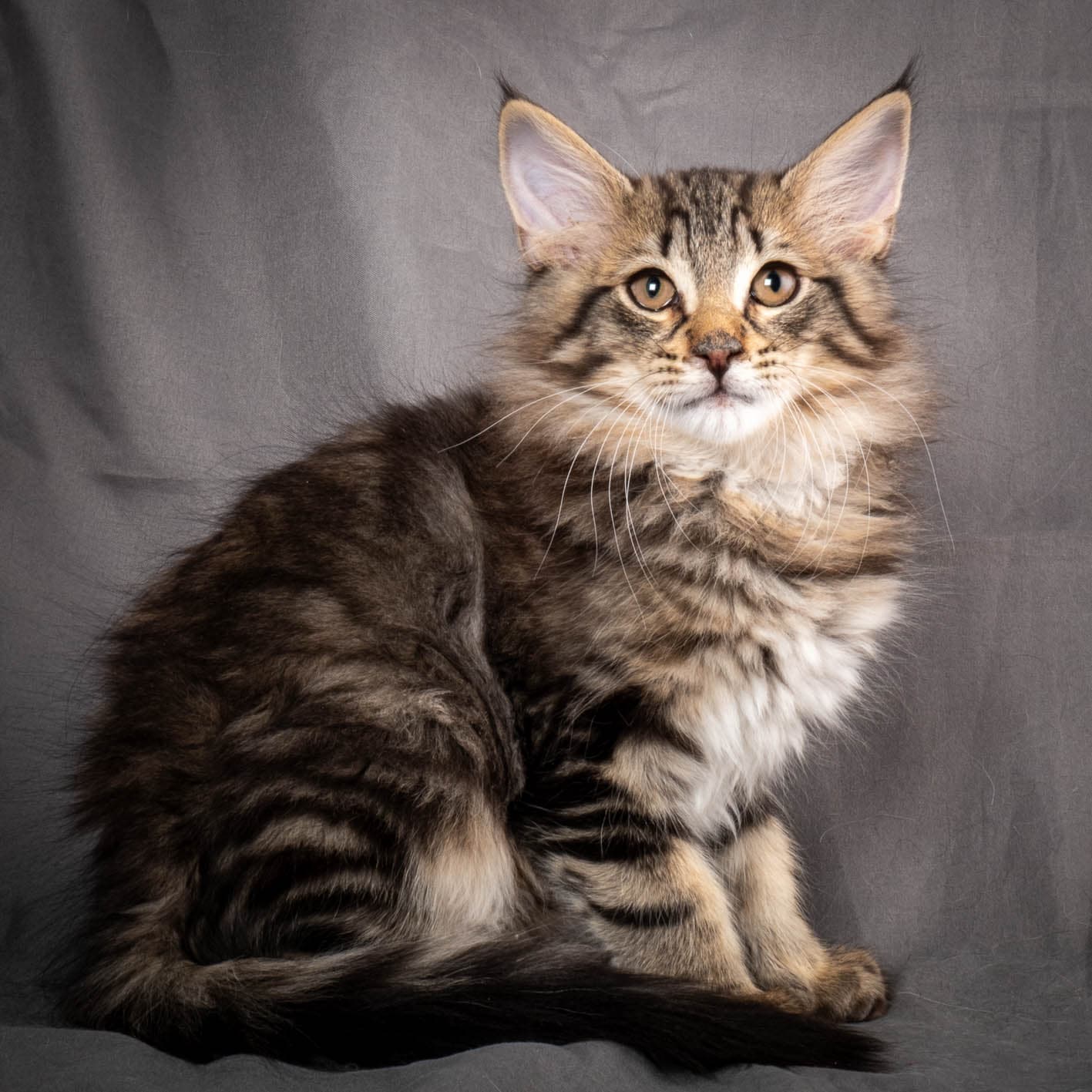 (N)Migoto's August, NFO n 22