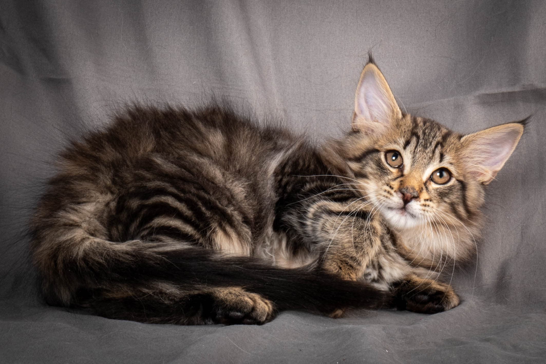 (N)Migoto's August, NFO n 22