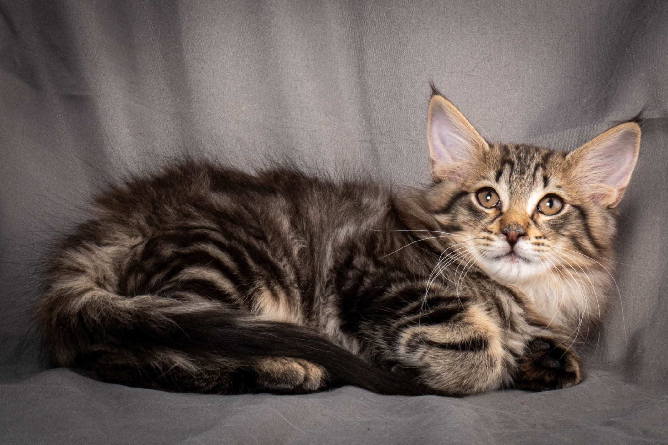 (N)Migoto's August, NFO n 22