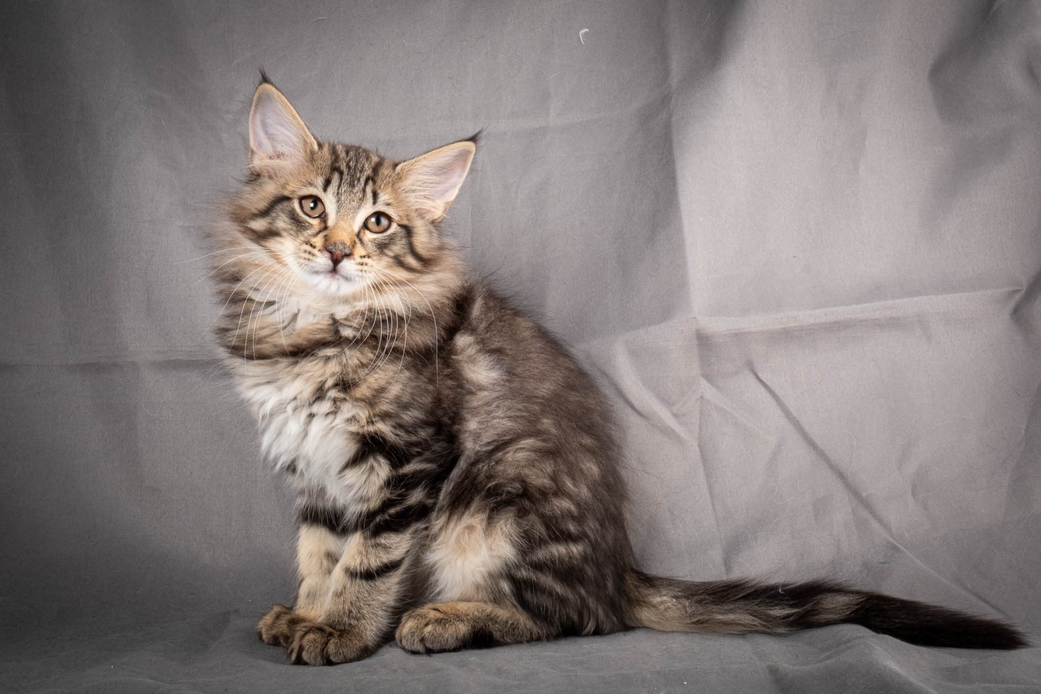 (N)Migoto's August, NFO n 22