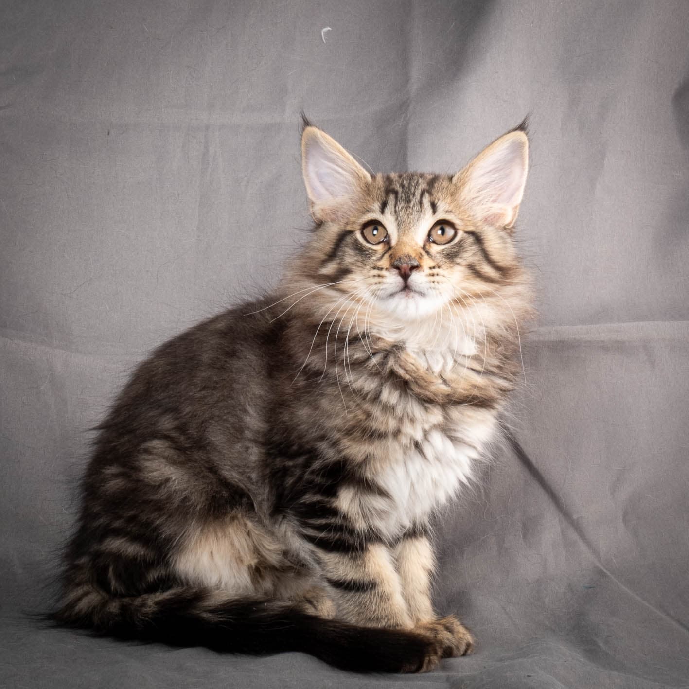 (N)Migoto's August, NFO n 22