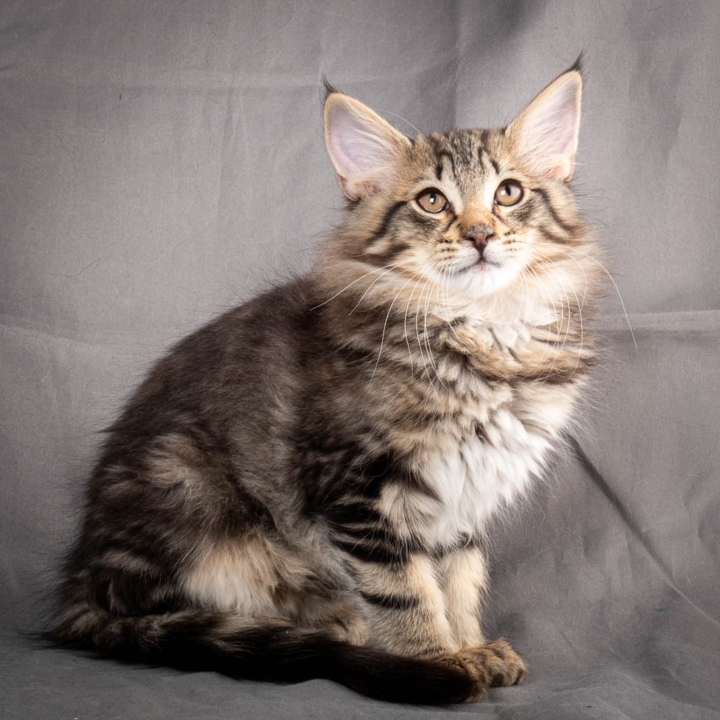 (N)Migoto's August, NFO n 22