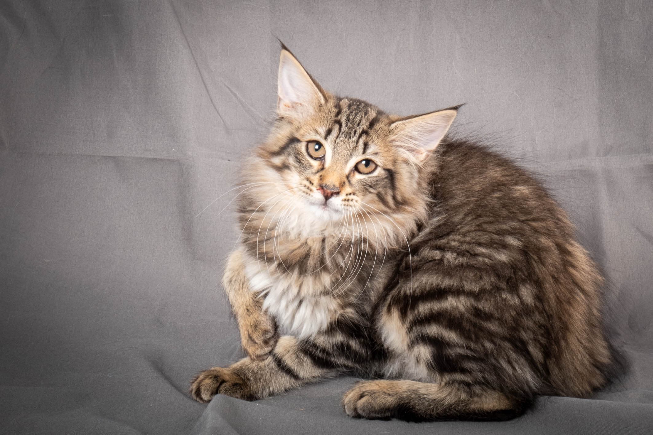 (N)Migoto's August, NFO n 22