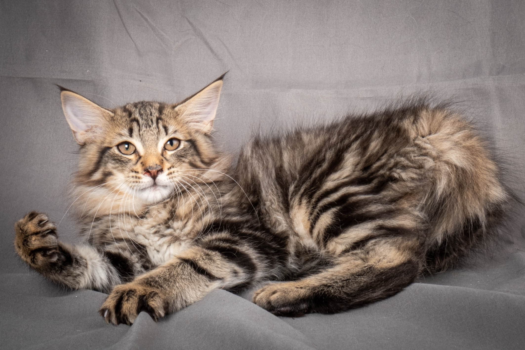 (N)Migoto's August, NFO n 22