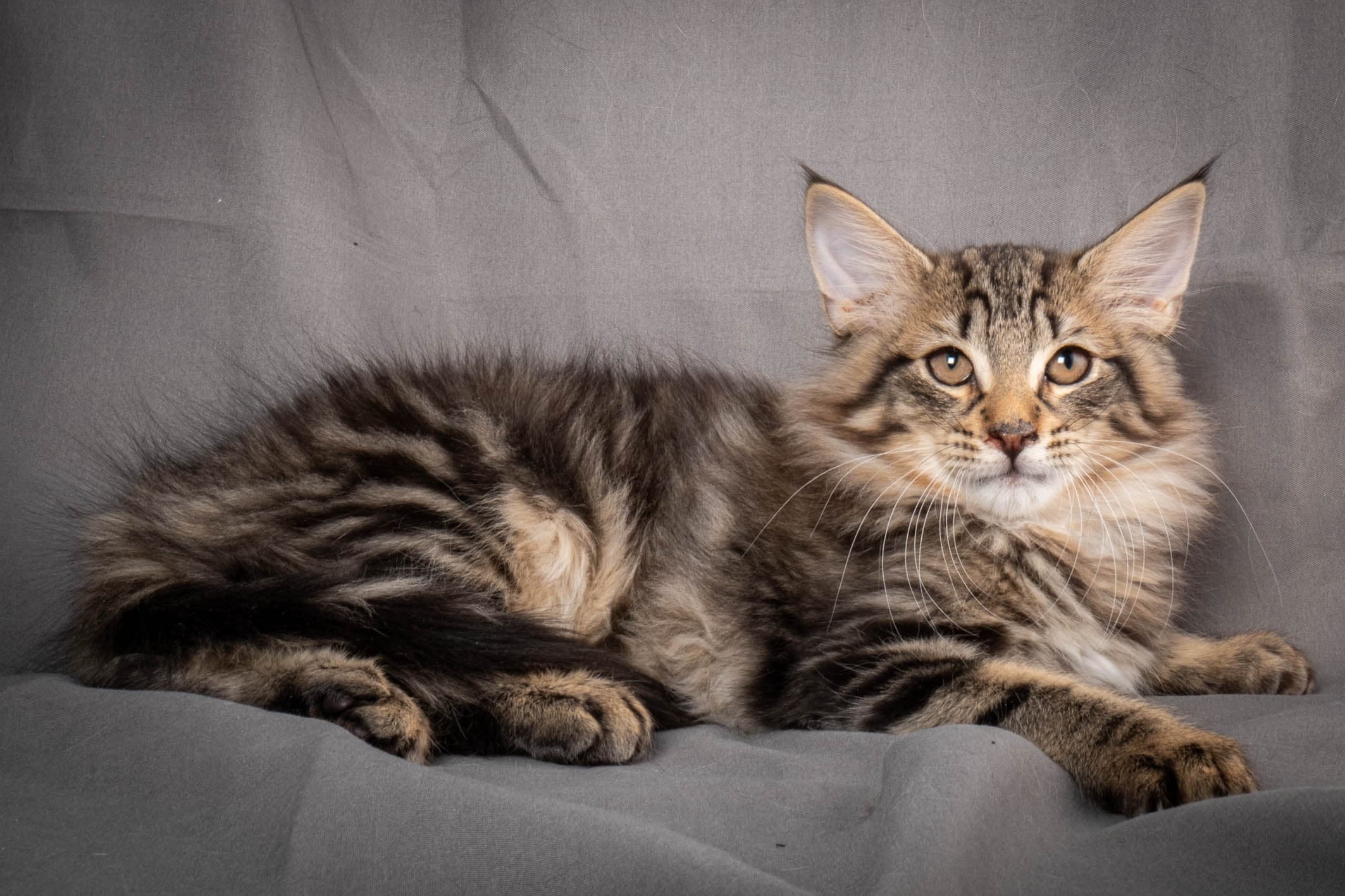 (N)Migoto's August, NFO n 22