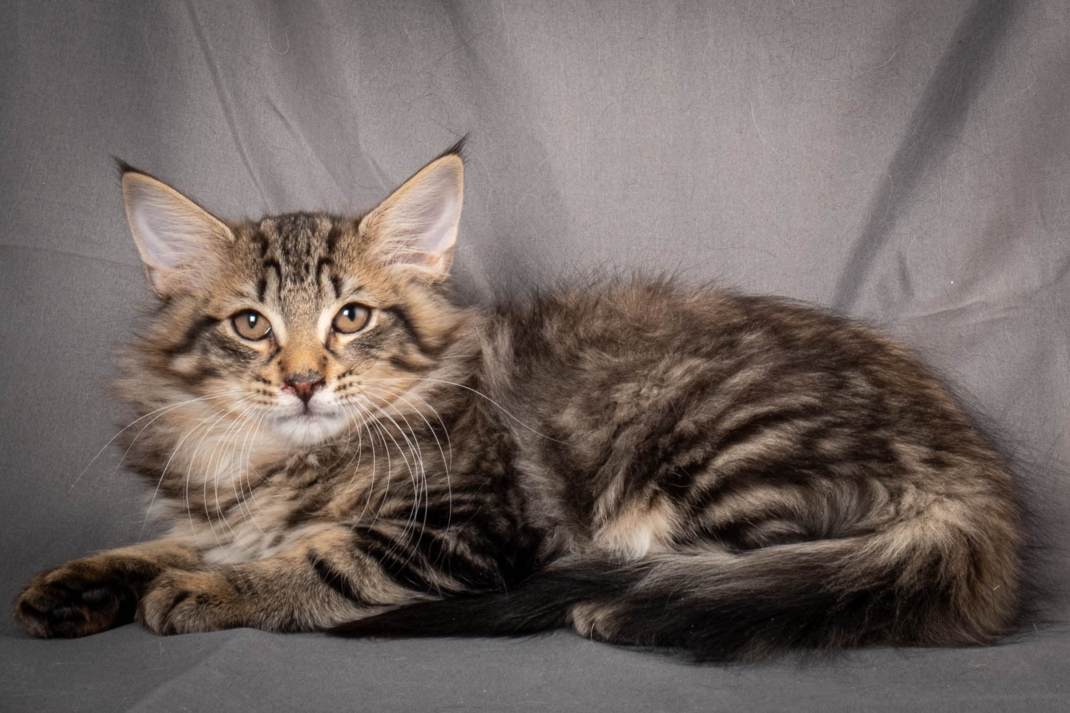 (N)Migoto's August, NFO n 22