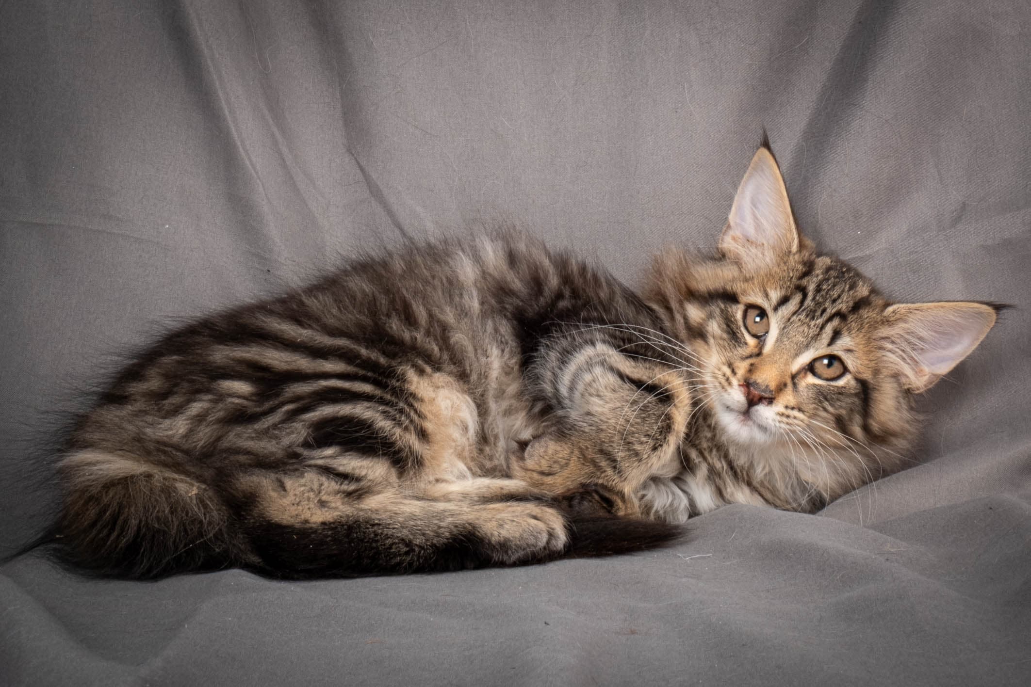 (N)Migoto's August, NFO n 22