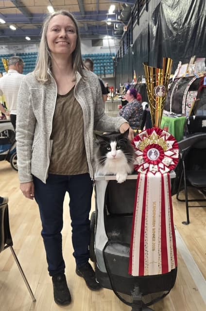 SW’26 SC (N )Migoto’s Lakris Special, DSM, DVM becomes Scandinavian Winner 2026! image