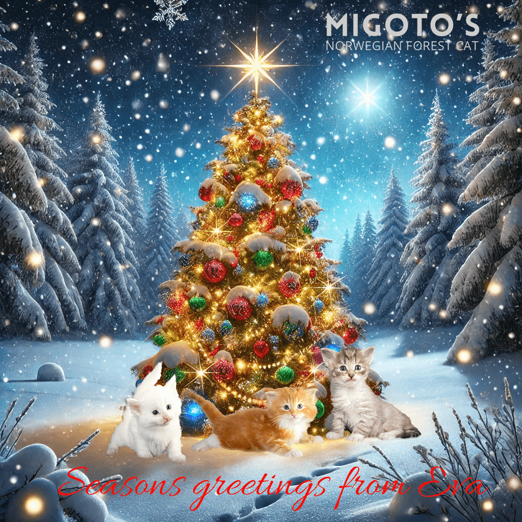 Seasons greetings from Eva image