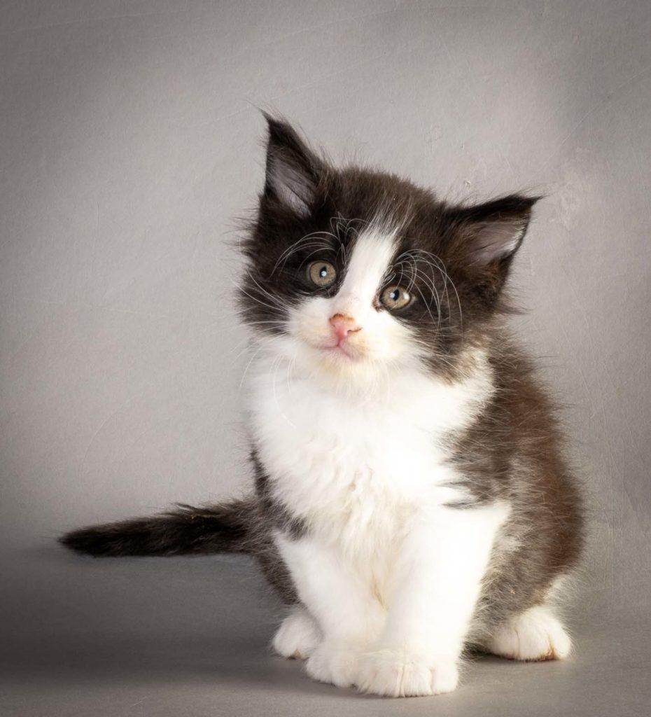 (N)Migoto's Lakris Special, NFO n 09