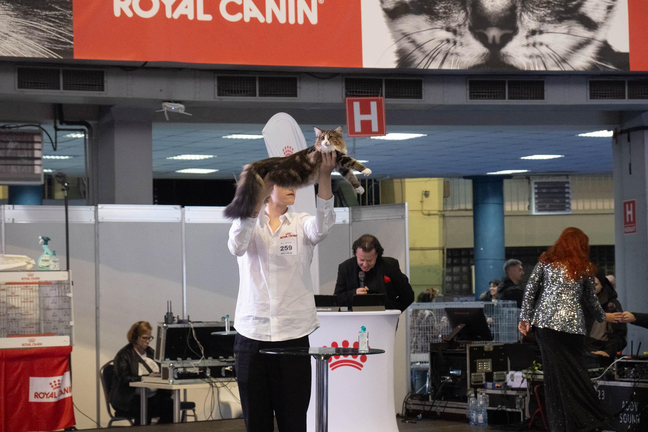 Sunset in the mountains